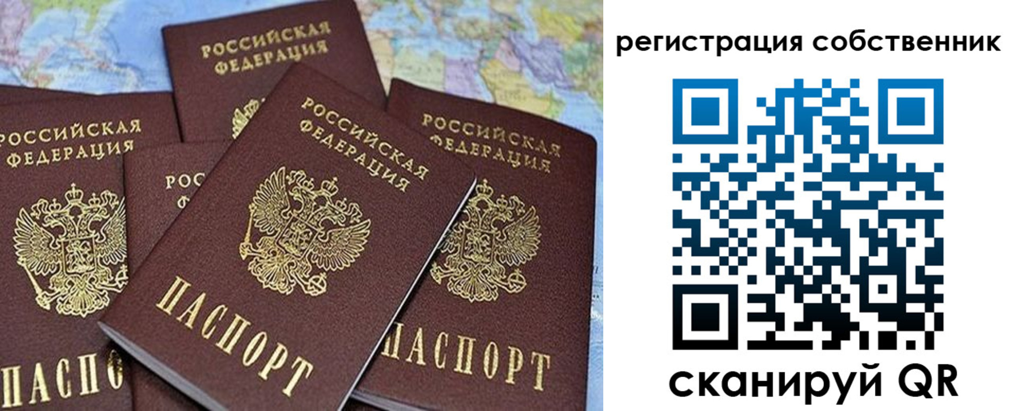 прописка для школы в Холмске